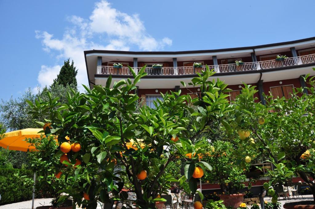Hotel Continental Γκάρντα Εξωτερικό φωτογραφία